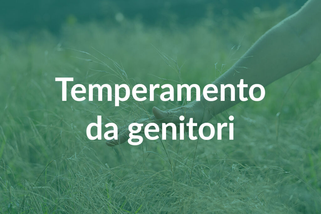 Anteprima immagine dei corsi da genitori dal nome 